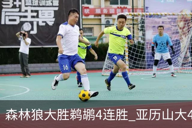 森林狼大胜鹈鹕4连胜 亚历山大43分雷霆克骑士